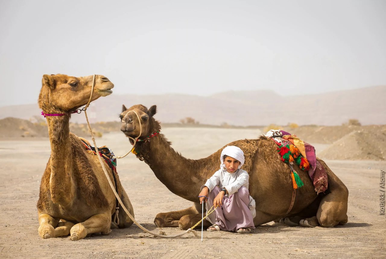 Shutterstock 1079148434 copy New scaled jpg