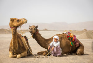 Ibri,,Oman,,28th,April,2018:,Bedouin,Kid,With,His,Camels Ibri,,Oman,,28th,April,2018:,Bedouin,Kid,With,His,Camels